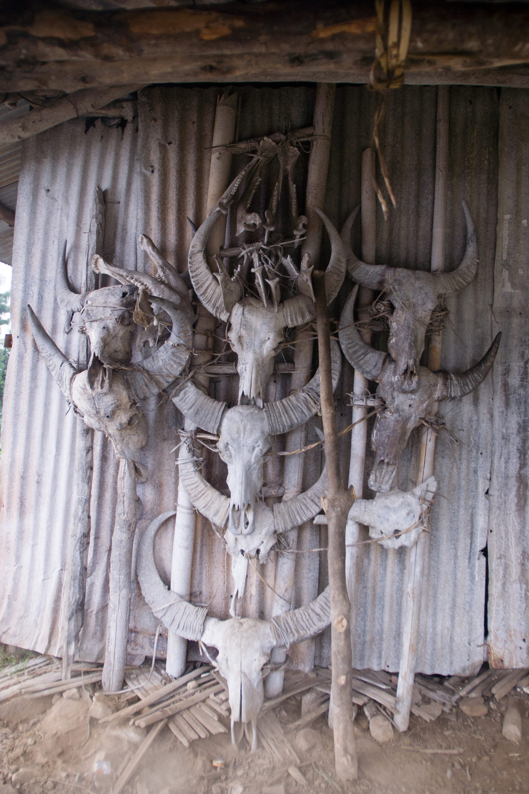 Outside Wancho house