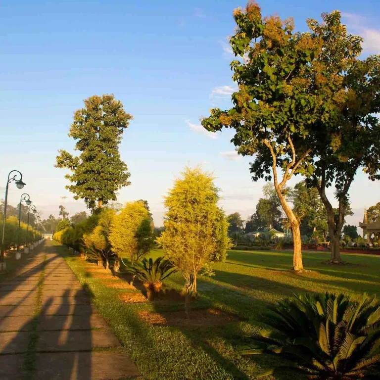 Golden Pagoda at Golden hours